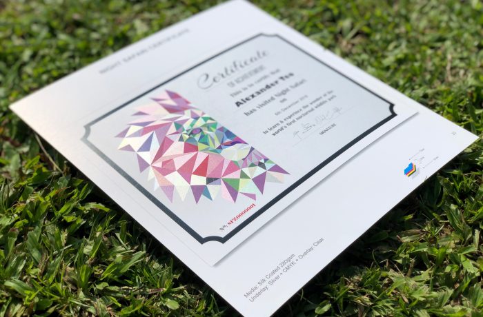 Silk Coated 280 gsm